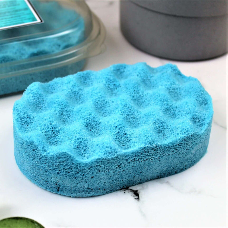 Wood Sage & Sea Salt Exfoliating Soap Sponge