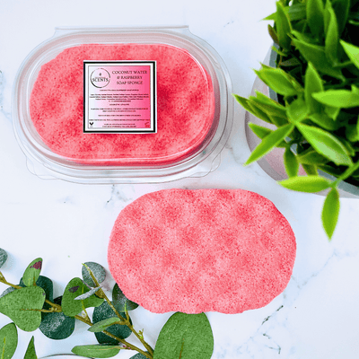 Coconut Water & raspberry Exfoliating Soap Sponge