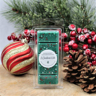 A Christmas Wash Wax Melt