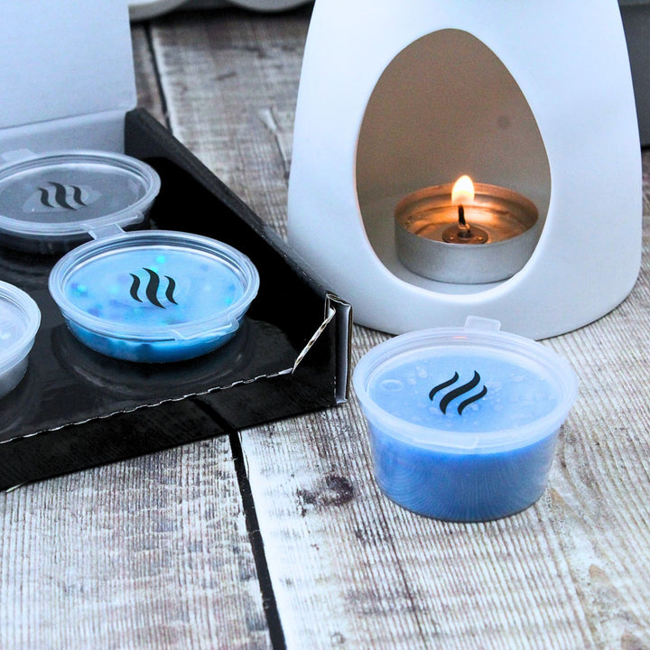 Laundry Discovery Wax Melt Box