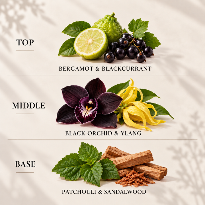 Black Orchid reed diffuser refill top, middle and base fragrance notes