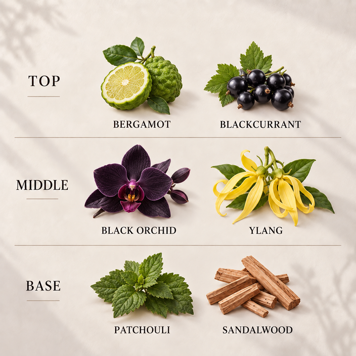 Black Orchid Room &amp; Linen Spray fragrance notes: top, middle and base