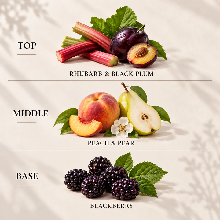 Black Plum &amp; Rhubarb reed diffuser refill top, middle and base fragrance notes