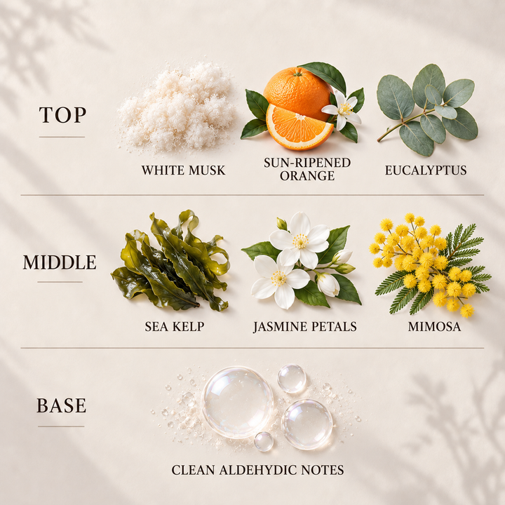 Clean Cotton Room &amp; Linen Spray fragrance notes: top, middle and base
