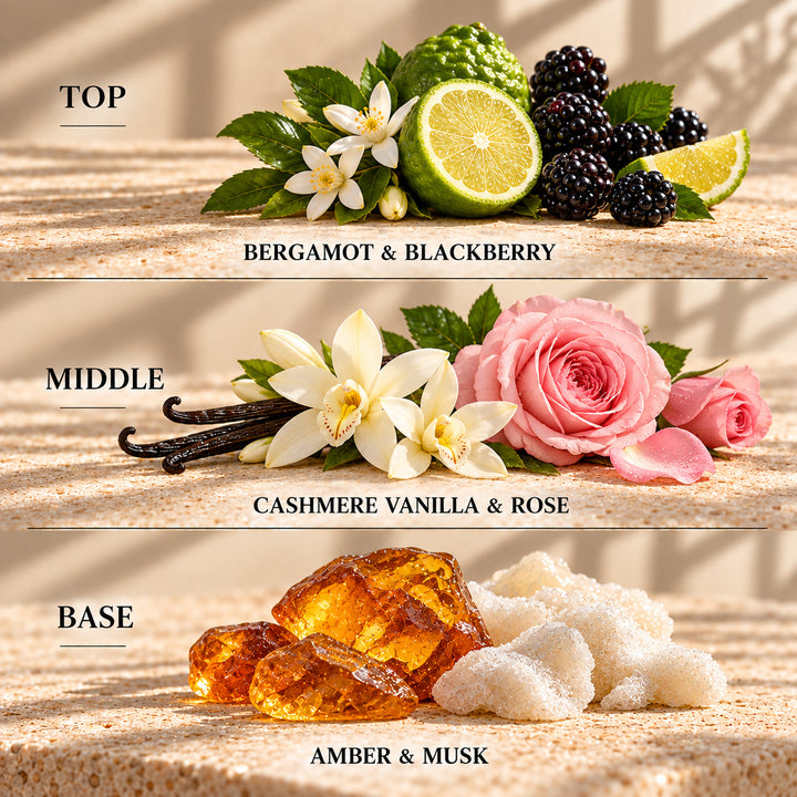 Top, middle and base scent notes for Soft Blanket laundry inspired wax melt by Smith &amp; Kennedy Scents