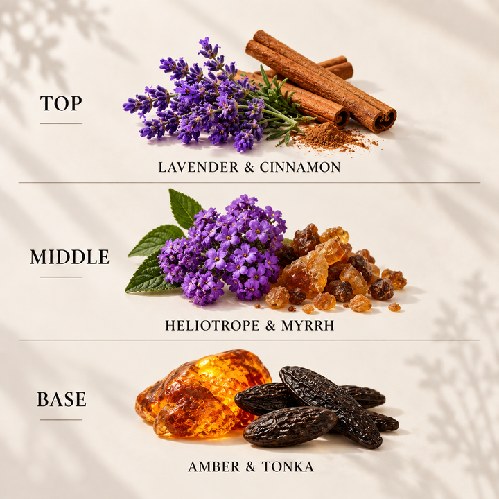 Tonka &amp; Oriental Amber reed diffuser refill top, middle and base fragrance notes