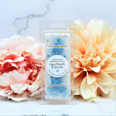 Aqua Minerals & Sea Kelp / Scented wax Melt Snap Bar / Spa Inspired