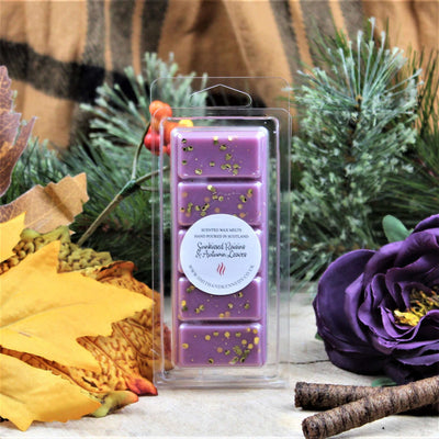 Sunkissed Raisins & Autumn Leaves Autumn Wax Melt